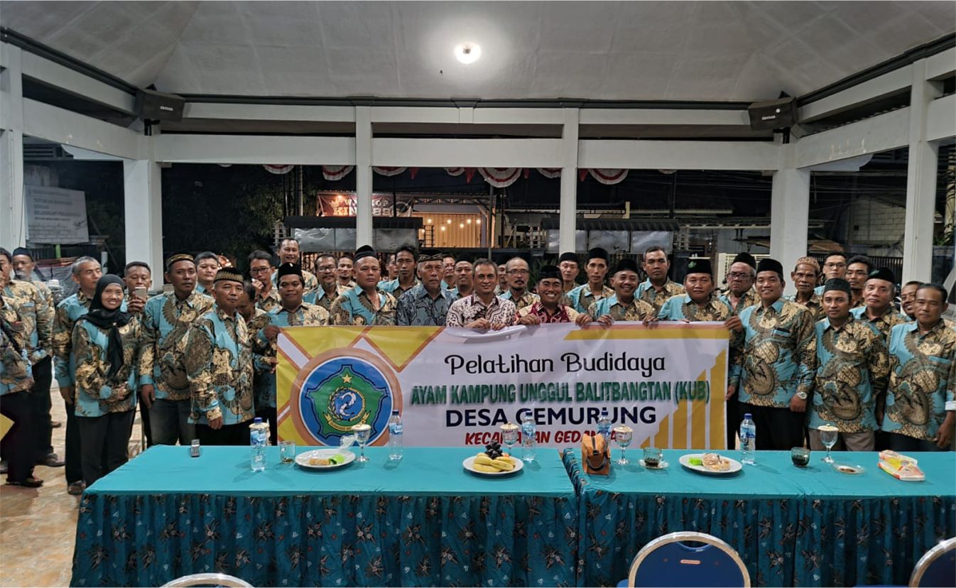 Pelatihan Budidaya Ayam Kampung Unggul Balitbangtan 2024